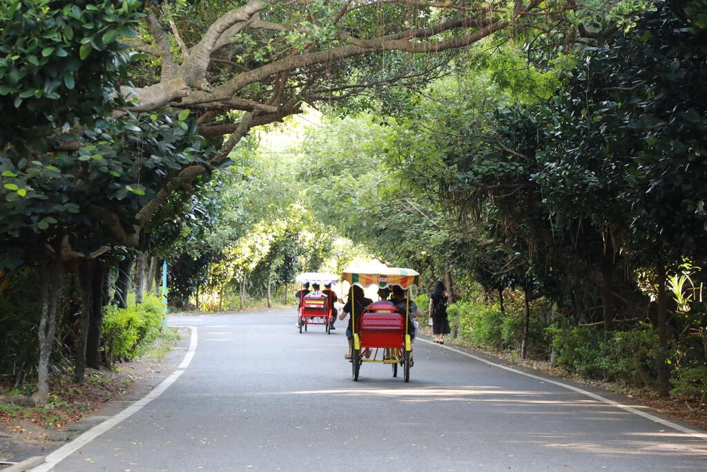 綠色隧道,綠色走廊,自行車